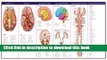 Read Anatomical Chart Company s Illustrated Pocket Anatomy: Anatomy of The Brain Study Guide