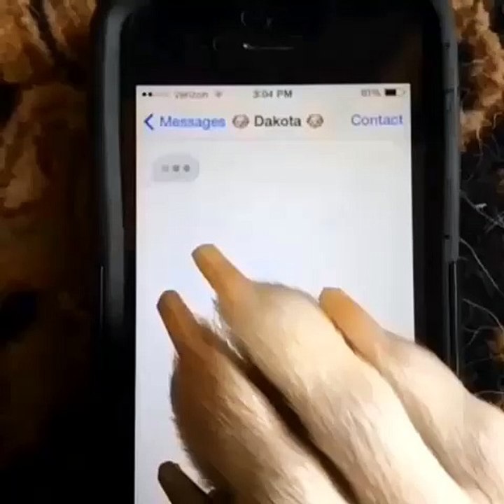 When your girlfriend says she´s home alone ♥ Best Vine Compilation 2015 ♥