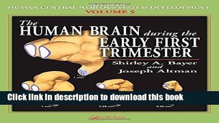 Read The Human Brain During the Early First Trimester  Ebook Free