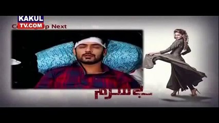 Besharam episode 12 promo HD - 19 july 2016-ary Digital