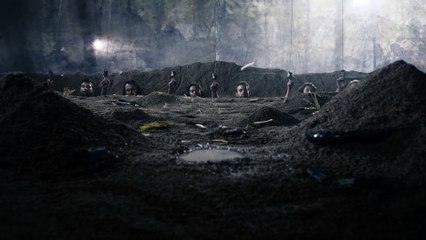 Oranges Don't Grow On Trees