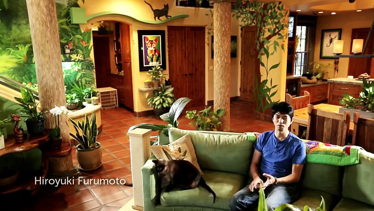 Cette maison paraît ordinaire mais son intérieur va vous surprendre!