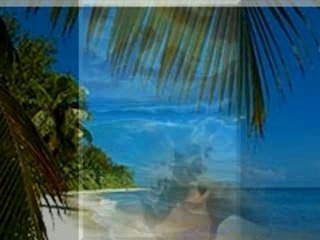 Un été de porcelaine