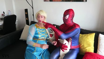 Spiderman & Frozen Elsa POO COLORED BALLS - Joker & Maleficent - Funny Superheroes in Real Life