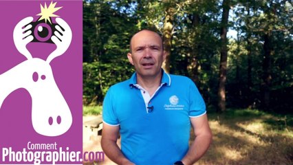 Utiliser le flash, ou pas ?