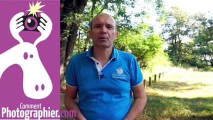 Objectif haut de gamme VS objectif moyenne gamme