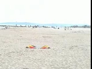 Les Crazy Drivers Outdoor