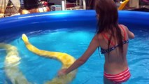 Cette petite fille joue avec un python dans une piscine !