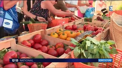Le goût des tomates anciennes