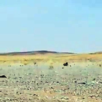 -ضب ماتحمل الحر وراح يدور للظل - اللهم ارحمنا - YouTube