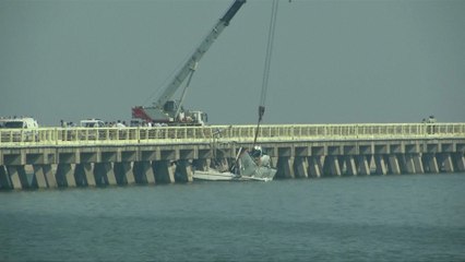 Plane crash in Shanghai kills five