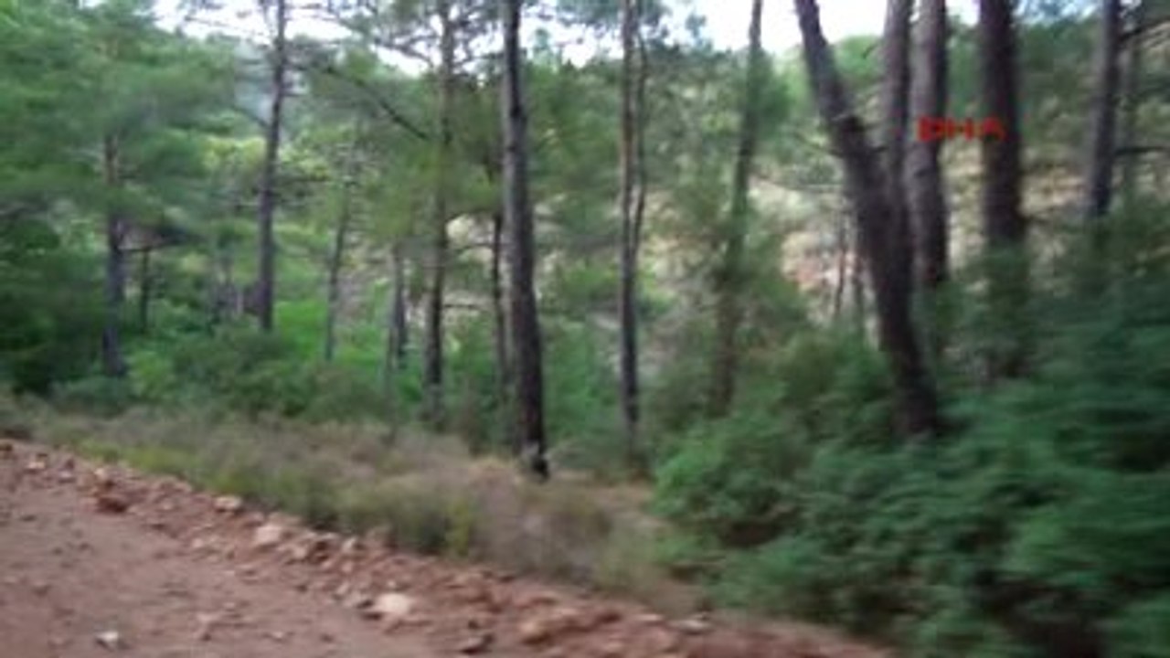 Marmaris Darbeci Askerler İçin Marmaris'te Her Ağacın Dibi Aranıyor