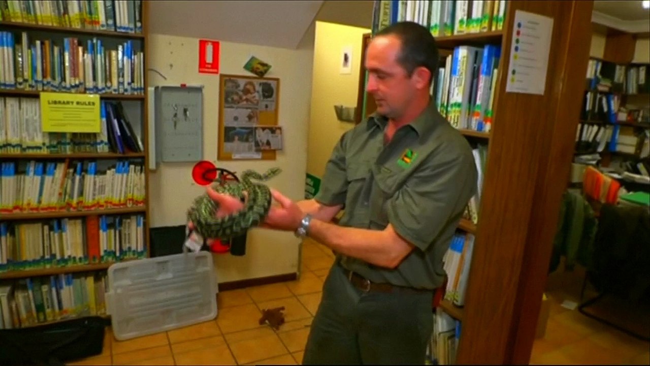 Snake on a train: pet python confiscated by Australian Police