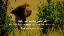 Beautiful Arabic Nasheed With English Translation 2016 HD