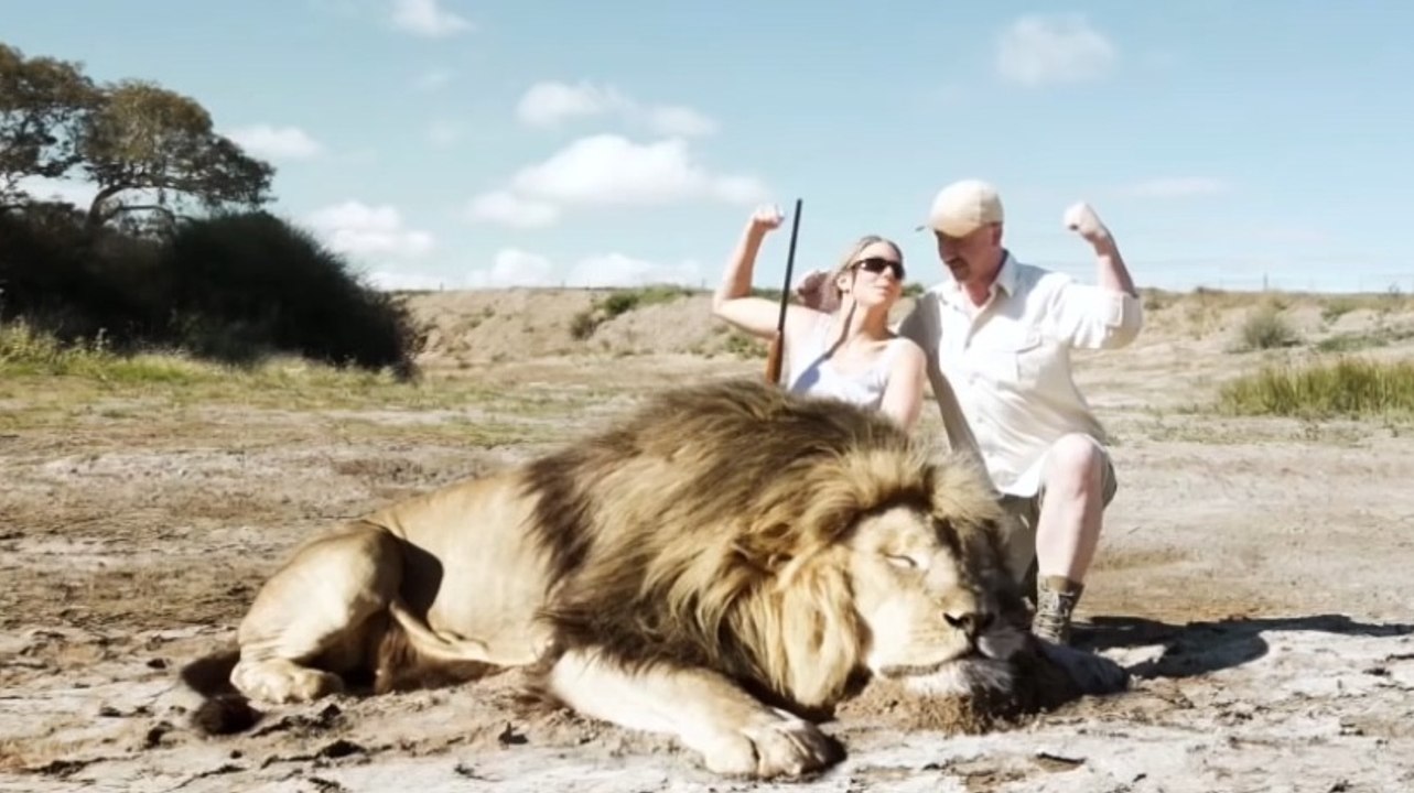 Лев отомстил охотнику