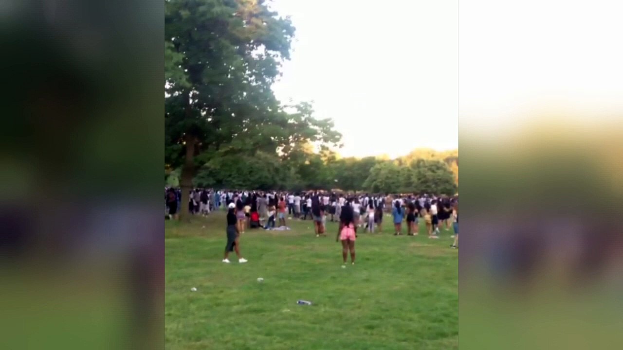 Three stabbed as Hyde Park water fight turns violent