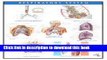 Download Respiratory System Chart  Read Online