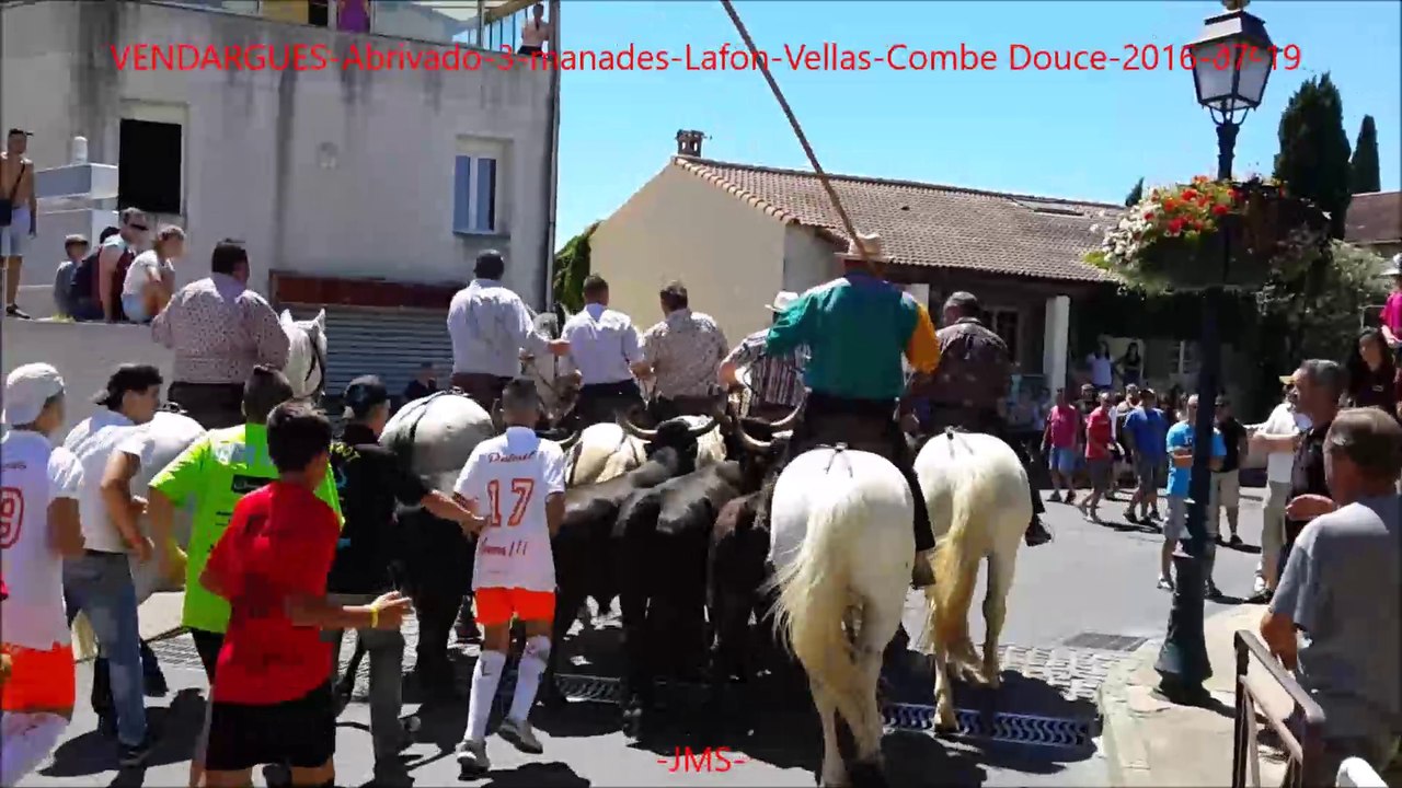 VENDARGUES-Abrivado-3-manades-Lafon-Vellas-Combe Douce-2016-07-19