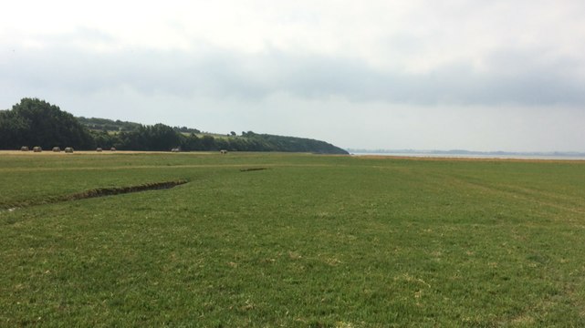 Visite des prés salés