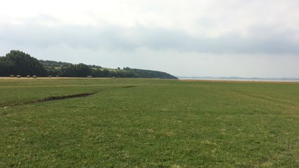 Visite des prés salés