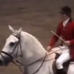 Le record du monde de saut à cheval