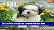 Download Shih Tzu Puppies 2016 Mini 7x7 Wall Calendar  PDF Free