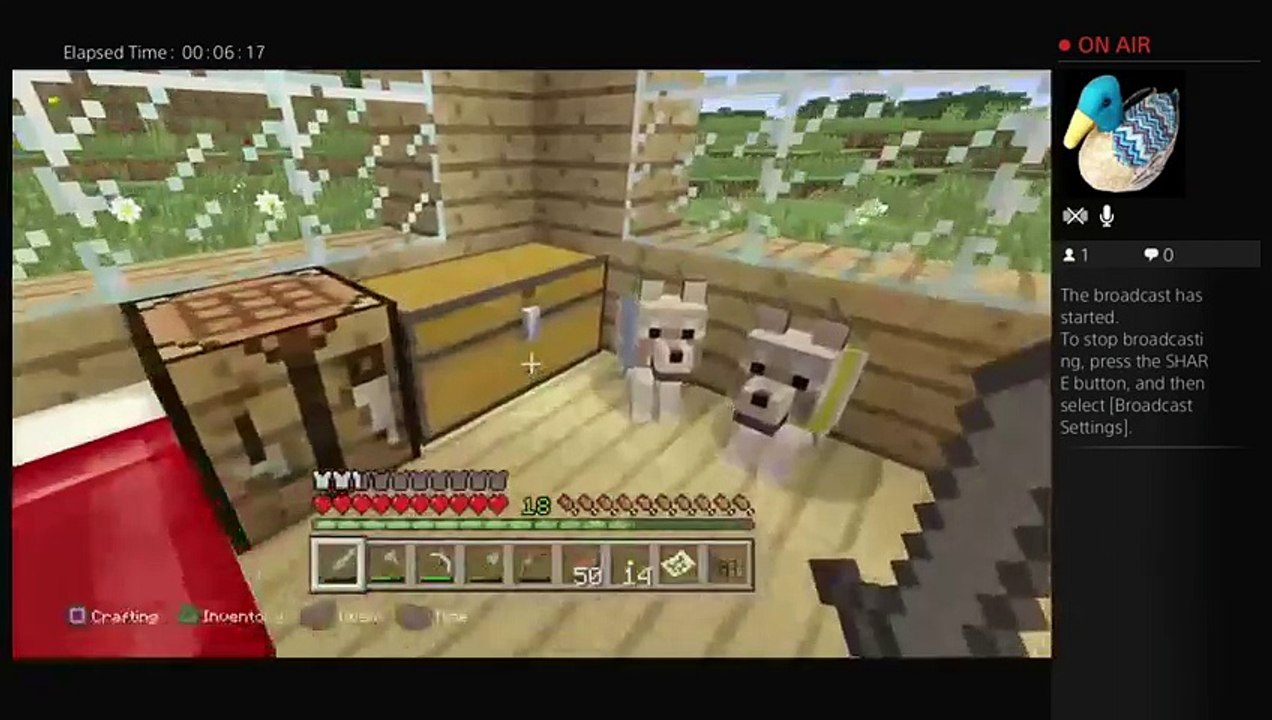 MineCraft PS4 Episode 7 (11)