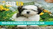 Read Shih Tzu Puppies 2016 Mini 7x7 Wall Calendar  Ebook Free
