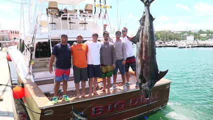 2016 Bermuda Big Game Classic Video