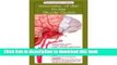 PDF Anatomical Chart Company s Illustrated Pocket Anatomy: Anatomy of the Brain Study Guide Free