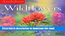 Read Audubon Wildflowers Wall Calendar 2016  Ebook Free