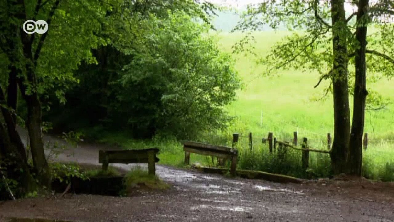 Campingluxus: Mercedes Marco Polo | Motor mobil