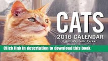 Read Cats 2016 Mini Day-to-Day Calendar  Ebook Free
