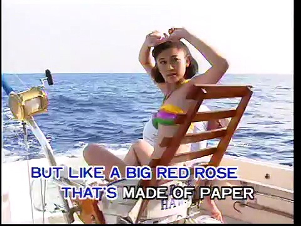 Melovision (MV運律) - Paper Roses