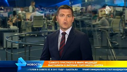 中国・広州市の「ホッキョクグマ」の置かれた不幸な環境を報じるロシアのTVニュース (Jul.20  2016)