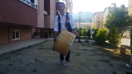 Gönüllerin yıldızları davul zurna ekibi sinop 0536 479 57 94