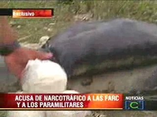 Un capo habla de las FARC y las drogas