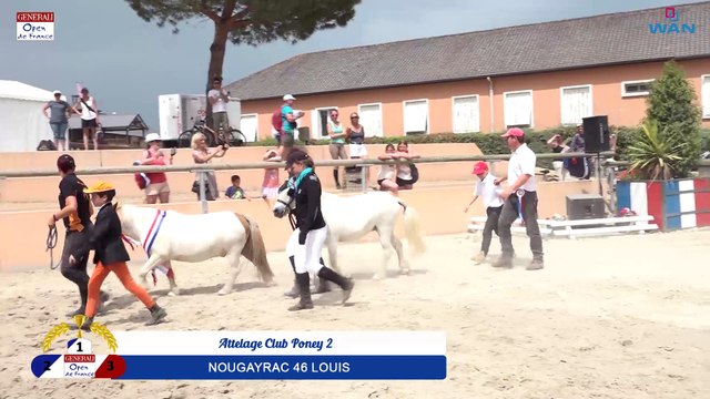 Attelage Club Poney 2