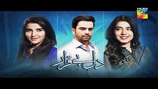 Dil E Beqarar Episode 15 Promo on Hum Tv in - 20th July 2016