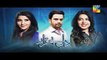 Dil E Beqarar Episode 15 Promo on Hum Tv in - 20th July 2016