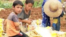 Explotación laboral de niños en Líbano | Reporteros en el mundo