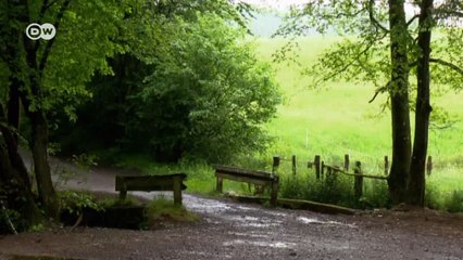 A la vista: Mercedes Marco Polo | Al volante