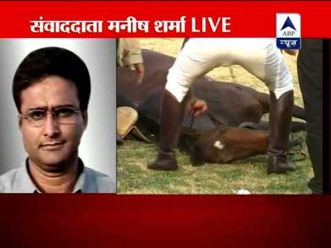 Two horses die in a polo match