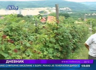 Dnevnik, 20. jul 2016. (RTV Bor)