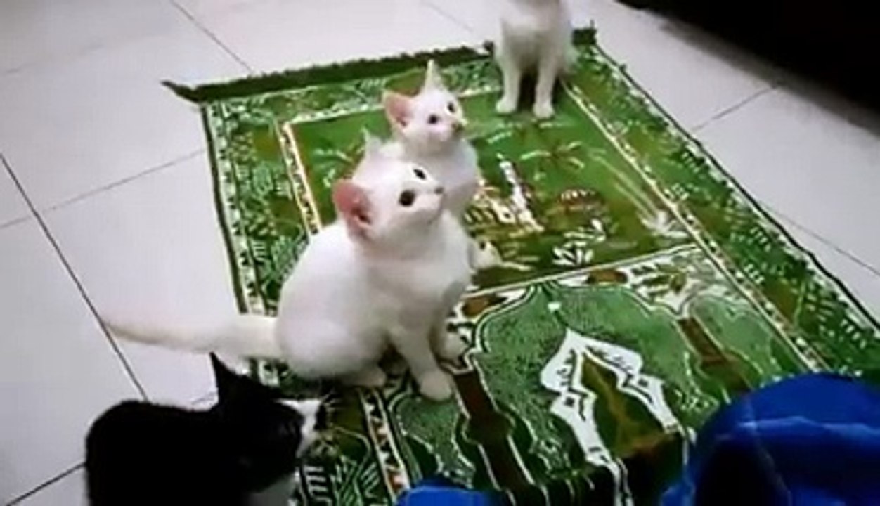 Good training