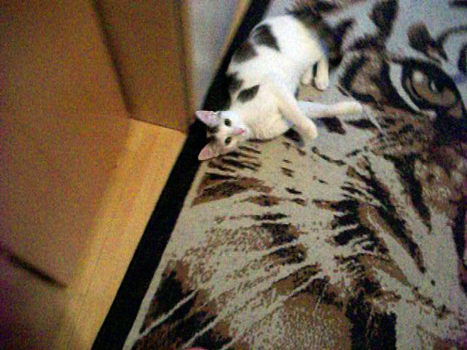 Vinzent am 20.07.2016