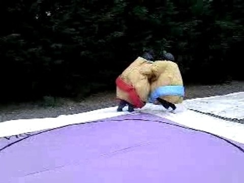 Combat sumos, bleu : flavien, rouge : alex