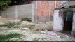 Polícia encontra buchas de maconha enterradas em quintal