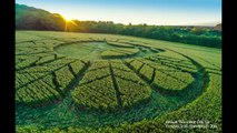 ALIEN FACE IN CROP CIRCLE Reigate Hill, nr Reigate, Surrey, UK - July 19, 2016.