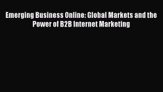 READ book  Emerging Business Online: Global Markets and the Power of B2B Internet Marketing